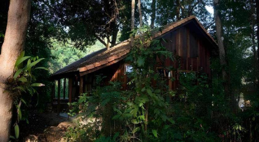 Forest Floor Lodge Каттьєн Екстер'єр фото