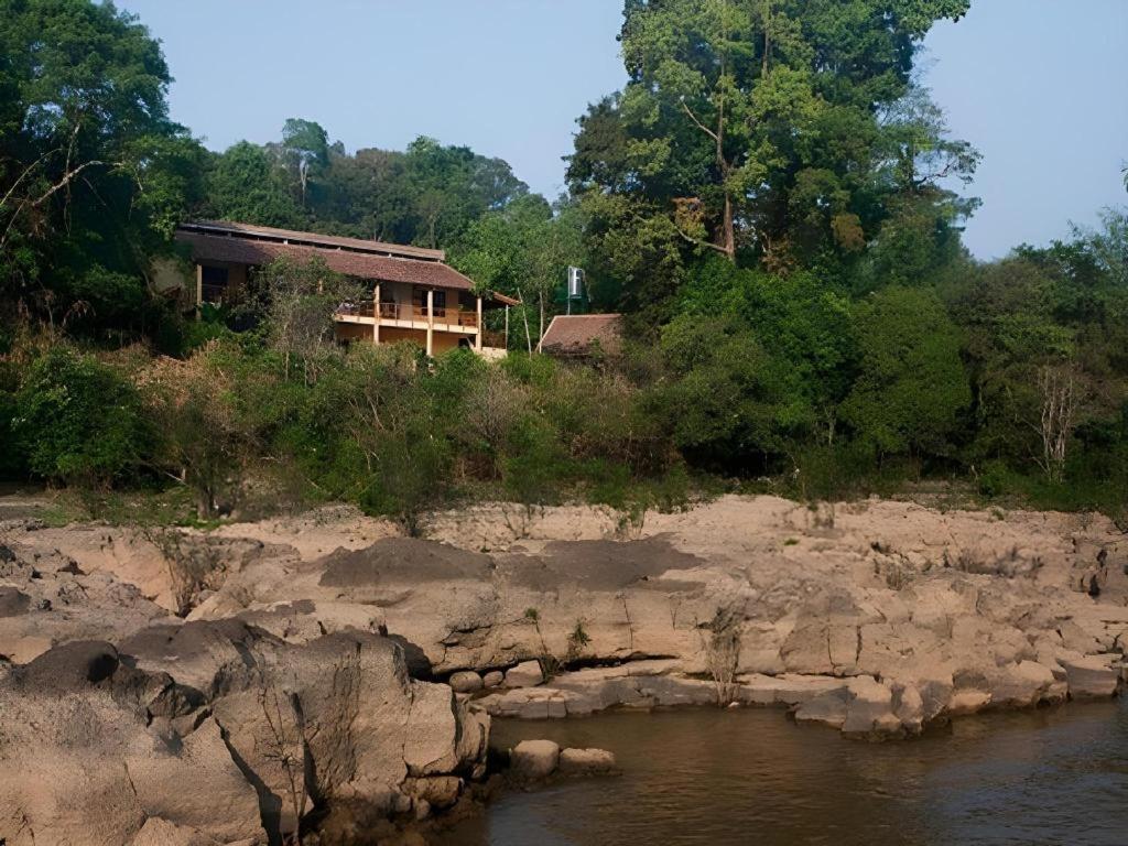 Forest Floor Lodge Каттьєн Екстер'єр фото