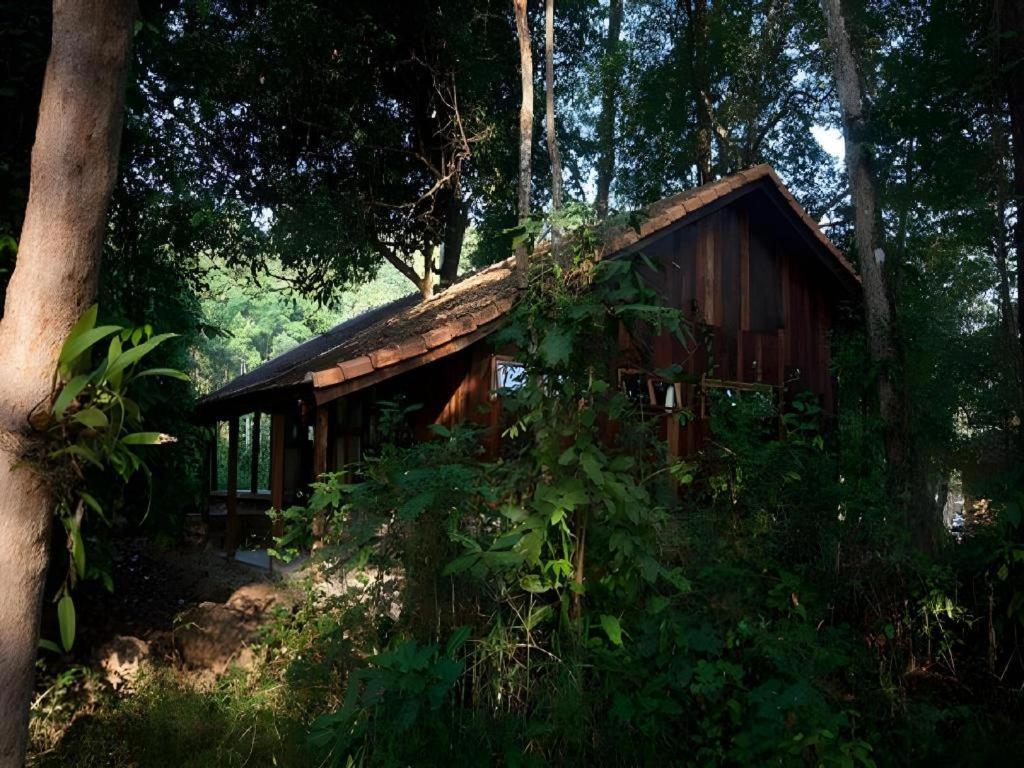 Forest Floor Lodge Каттьєн Екстер'єр фото