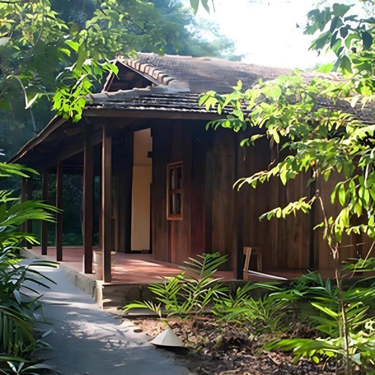 Forest Floor Lodge Каттьєн Екстер'єр фото