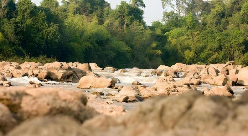 Forest Floor Lodge Каттьєн Екстер'єр фото